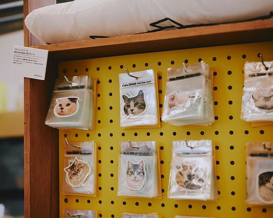 【東京都世田谷区】「THE Cat’s ISSUE FES 2026」開催。グッズ、ライブ、グルメまで…ネコ好き必見の祭典！