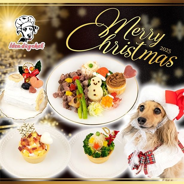 愛犬と笑顔溢れるクリスマスの思い出を作ろう