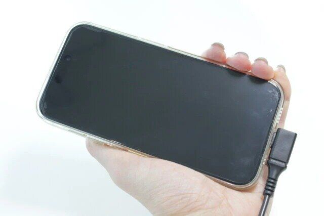 ダイソー L字 Type-C