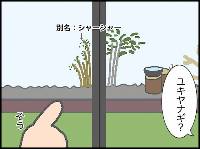 頑張り過ぎない介護／まる子