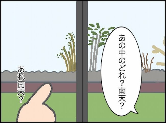 頑張り過ぎない介護／まる子