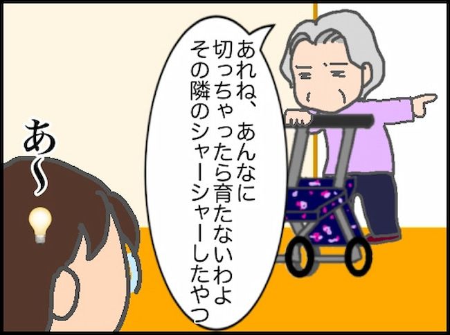 頑張り過ぎない介護／まる子