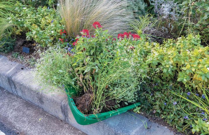 抜いた花苗はできるだけゴミにせず、メンバーでアイディアを出しながら再利用している。