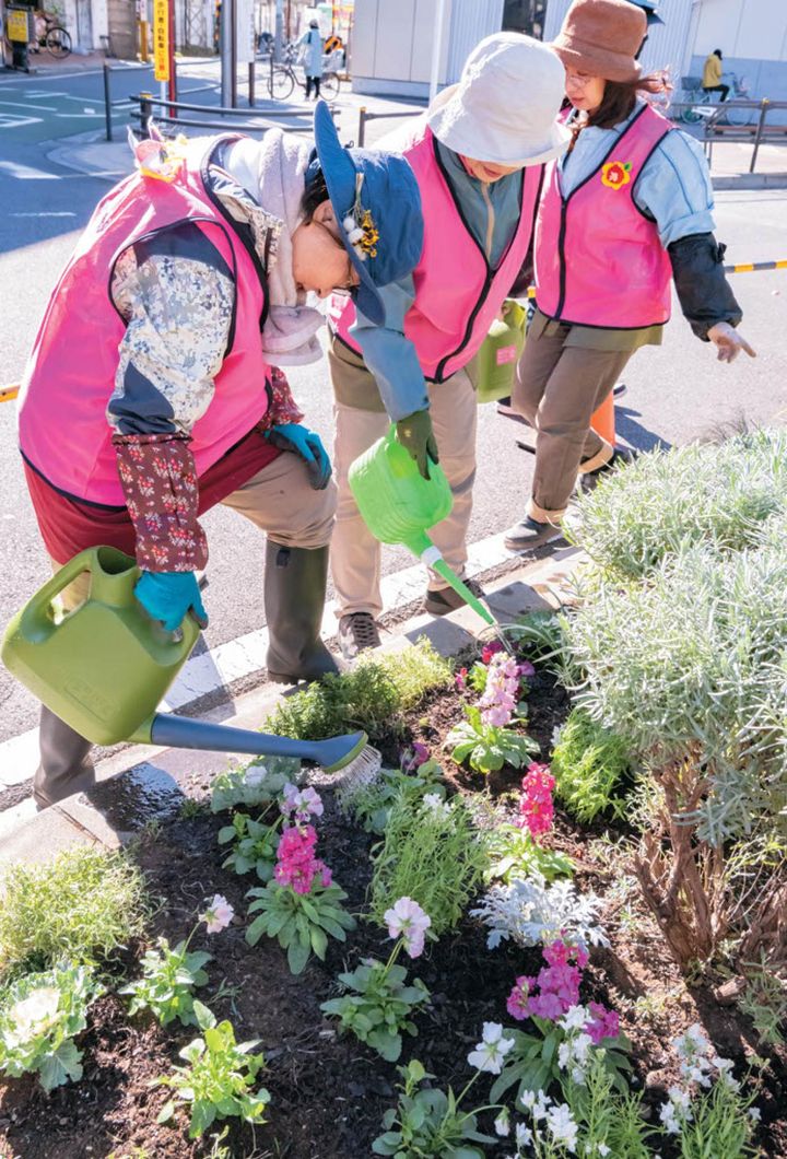 水やりは植えつけ当日のこの1回のみなので、1株ずつ10秒ほどかけてたっぷりと与える。