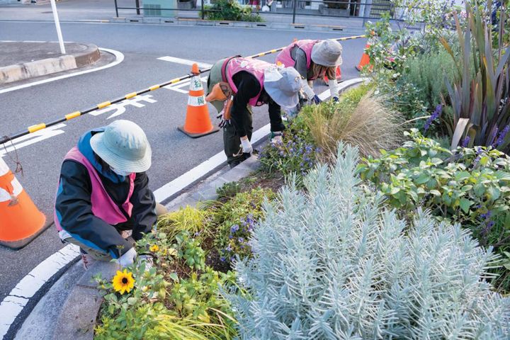 多年草や低木も混植してある中から抜き取る。