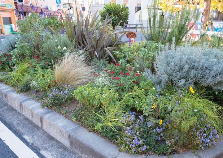 11月中旬まで花壇を彩ってくれた一年草や耐寒性のない多年草などを抜いて、5月まで楽しめる草花に植えかえる。