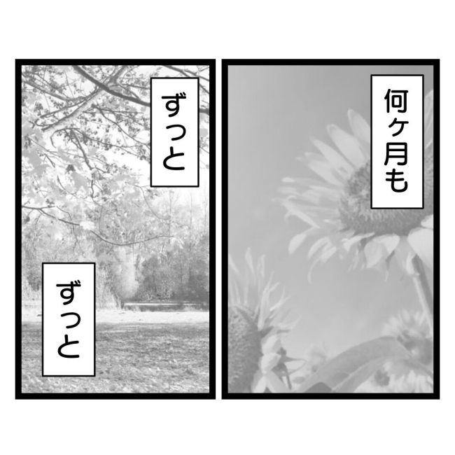 歪んだ愛〜レス夫婦の末路〜／くろねこ