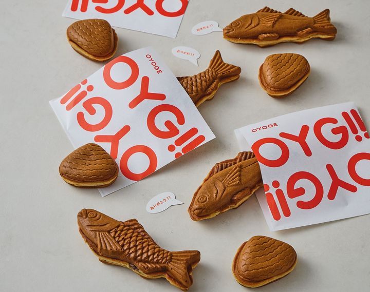 【OYOGE】3匹入ったBOXセット