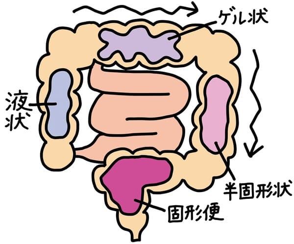 便秘 の 原因 お通じ
