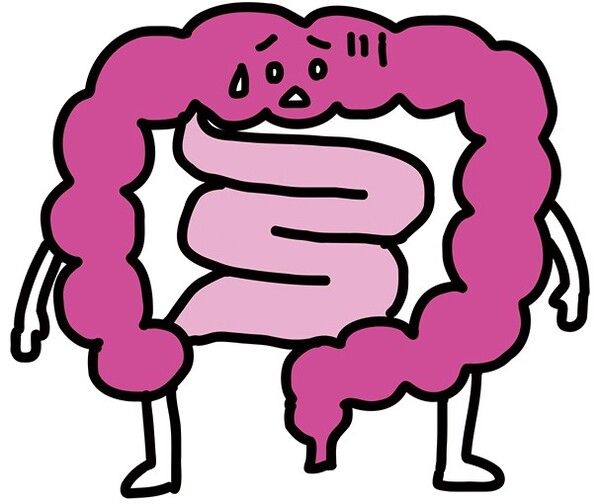 便秘 の 原因 お通じ