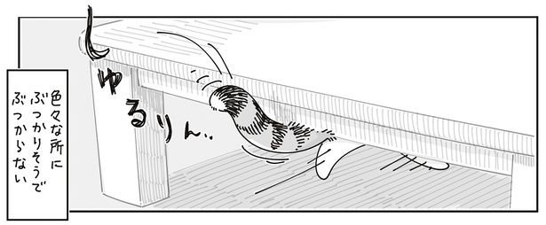 ぶつかりそうで… （C）キュルZ／KADOKAWA