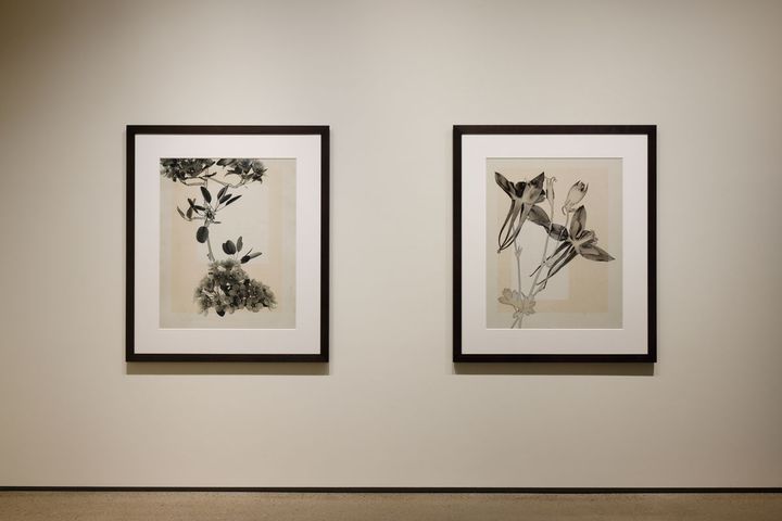 流行写真通信 第34回：トーマス・ルフは写真の内と外を横断して、写真を疑う