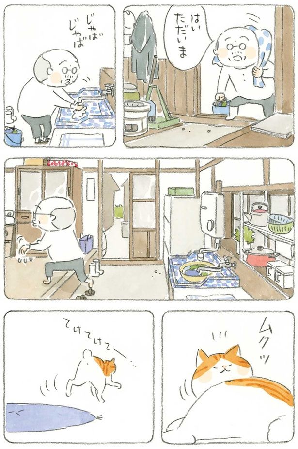 はいただいま （C）ねこまき（ミューズワーク）／KADOKAWA