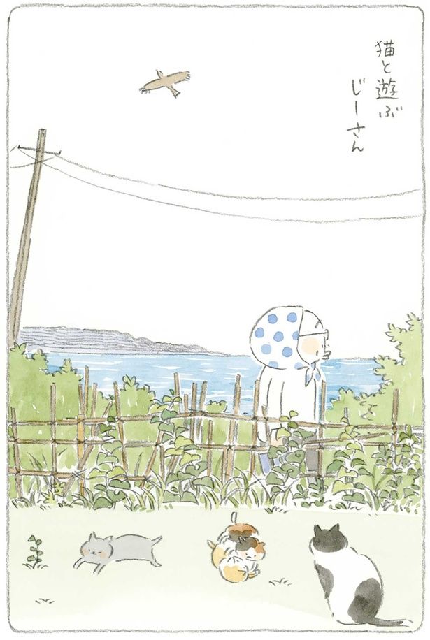 猫と遊ぶじーさん （C）ねこまき（ミューズワーク）／KADOKAWA