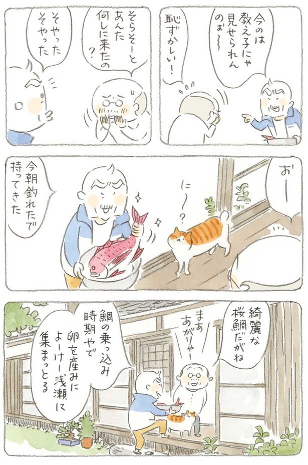 今のは教え子には見せられんのぉ～ （C）ねこまき（ミューズワーク）／KADOKAWA