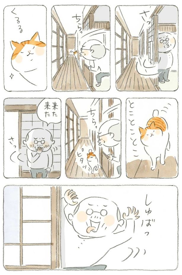来た来た （C）ねこまき（ミューズワーク）／KADOKAWA