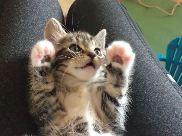 無邪気な姿に癒やされる！