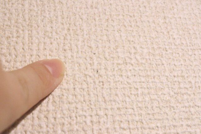 ピン式フローリングワイパーホルダー ピン穴