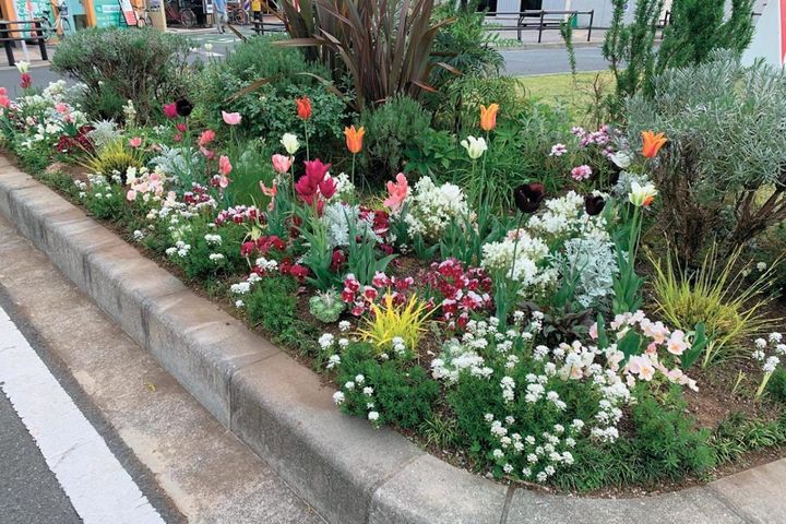 どの季節も花を楽しめる【街のボランティア花壇】剪定枝や抜いた花の再利用アイデアも公開！