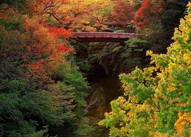優れた建築技法も魅力の1つ/名勝 猿橋の紅葉 画像提供：大月市