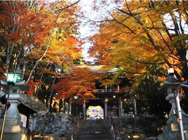 屋根瓦を覆うイチョウのじゅうたんに日本の風情を感じる/大窪寺の紅葉 画像提供：さぬき市商工観光課