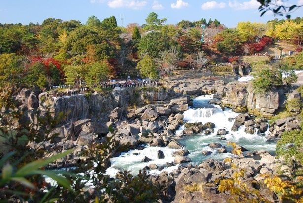 巨大なスケールの滝に紅葉の彩が加わる/曽木の滝の紅葉 画像提供：伊佐市役所伊佐PR課