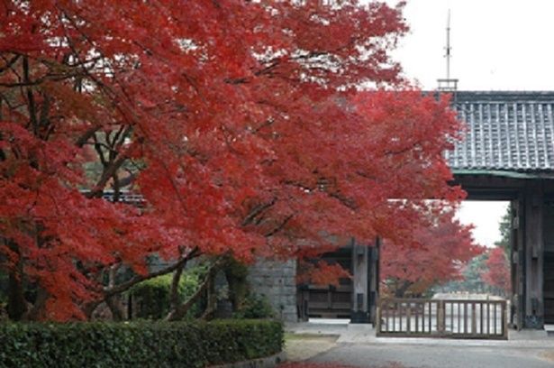 毛利博物館では毎秋に国宝展が開かれる/毛利氏庭園の紅葉 画像提供：公益財団法人 毛利報公会