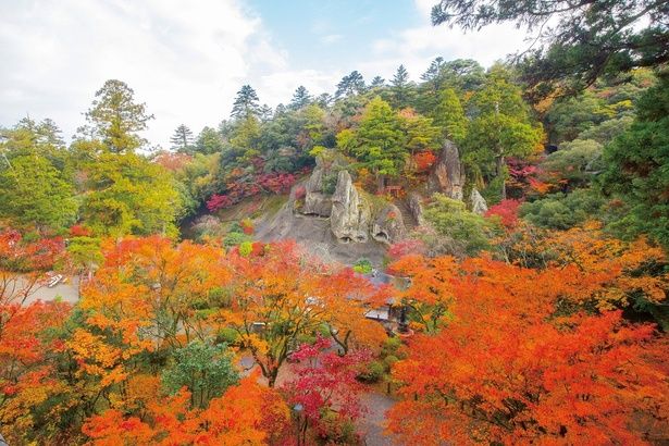 国名勝に指定されている奇岩遊仙境の展望は絶景/那谷寺の紅葉 画像提供：那谷寺