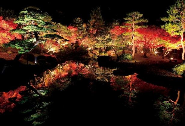 水鏡に映り込む逆さ紅葉は必見/由志園の紅葉 画像提供：由志園