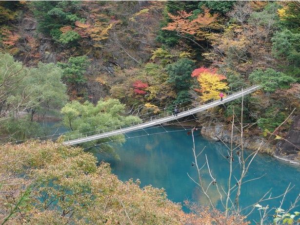 夢のつり橋の全容。混雑時は人数制限あり/寸又峡の紅葉 画像提供：川根本町観光交流課
