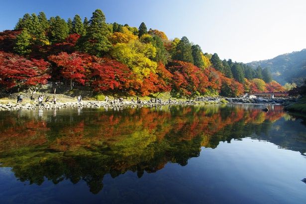 水面に映り込む紅葉の景観美は見事/香嵐渓の紅葉 画像提供：豊田市足助観光協会