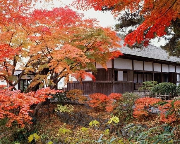 古式ゆかしい建物に紅葉が映える/観瀾亭(松島)の紅葉 画像提供：松島町産業観光課観光班