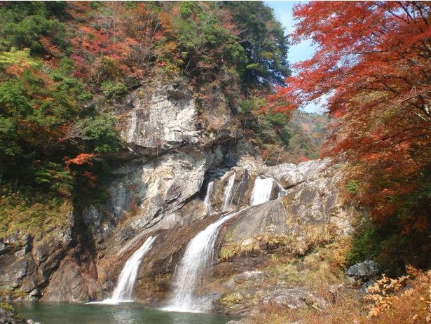 赤や黄に染まる山々の間を流れ落ちる滝に圧倒/瀬戸川渓谷の紅葉 画像提供：土佐町企画推進課