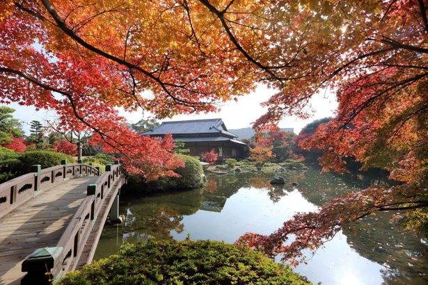 池に映り込む紅葉の水鏡は必見/長府庭園の紅葉 画像提供：下関市