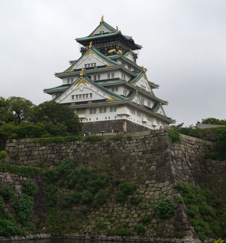 11月21日の朝からXはじめ、様々なSNSでトレンドに上がった「本能寺の変」。