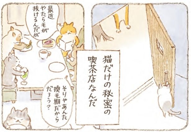 猫だけの秘密の喫茶店 （C）ねこまき（ミューズワーク）／スターツ出版