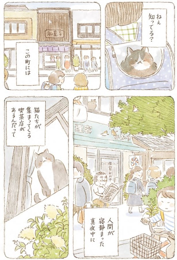 ねぇ知ってる？ （C）ねこまき（ミューズワーク）／スターツ出版