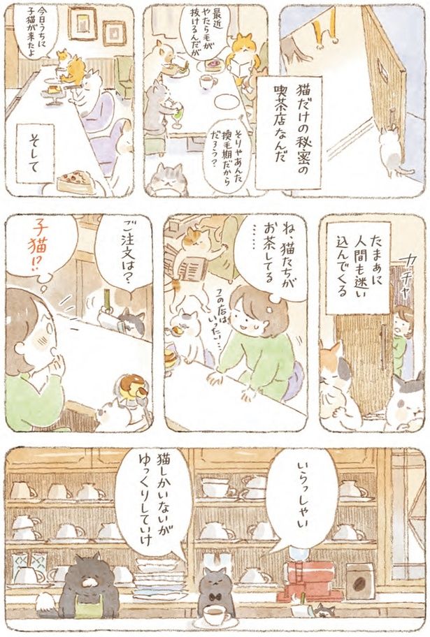 猫しかいないがゆっくりしていけ （C）ねこまき（ミューズワーク）／スターツ出版