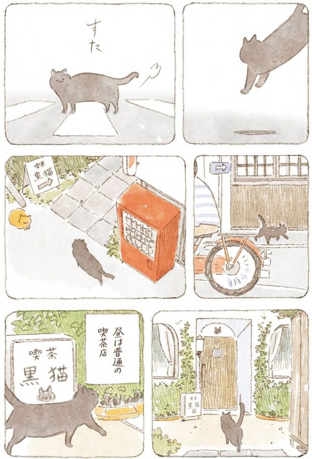 昼は普通の喫茶店 （C）ねこまき（ミューズワーク）／スターツ出版