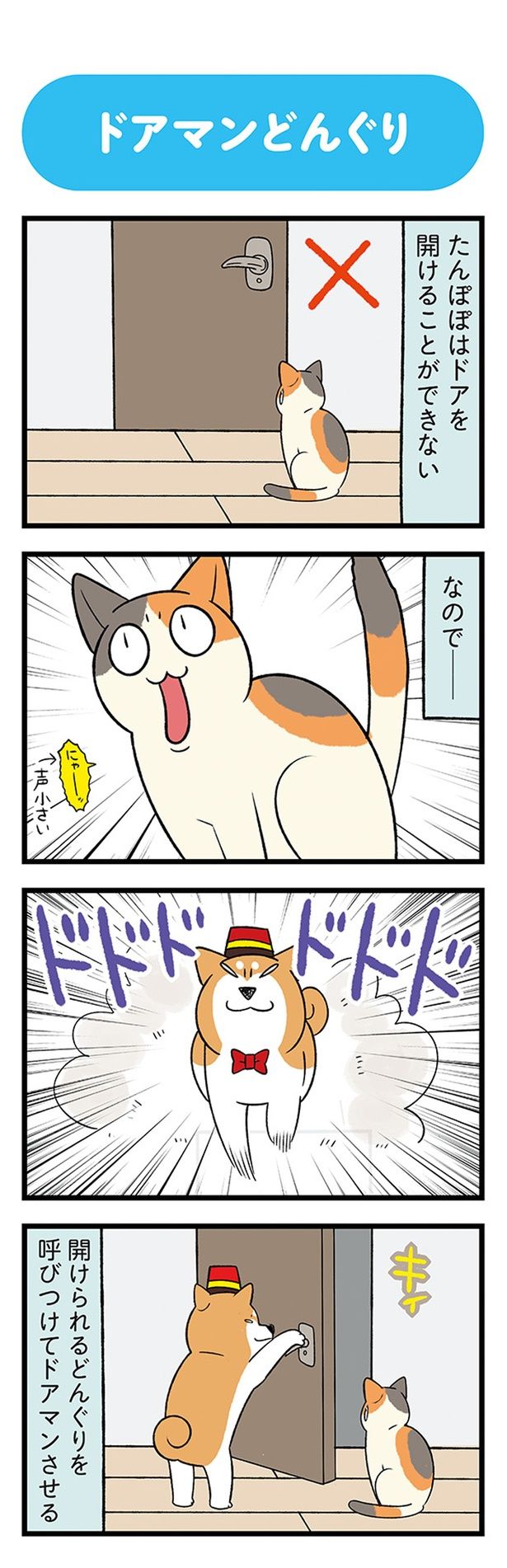 ドアを開けることができない なので （C）宮路ひま／KADOKAWA