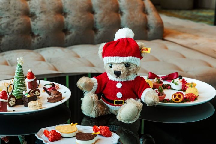 テディベア パディ