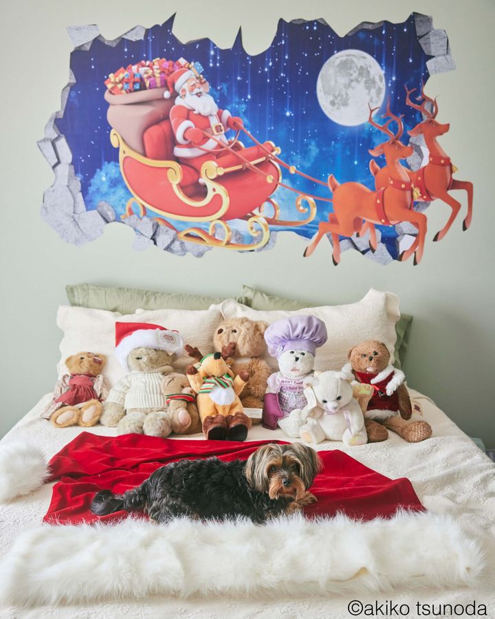 カナダのサンタさんのお家と暮らし