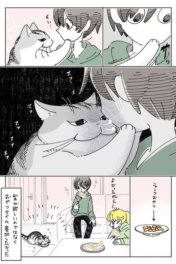 03 画像提供：キュルZ@kyuryuZ