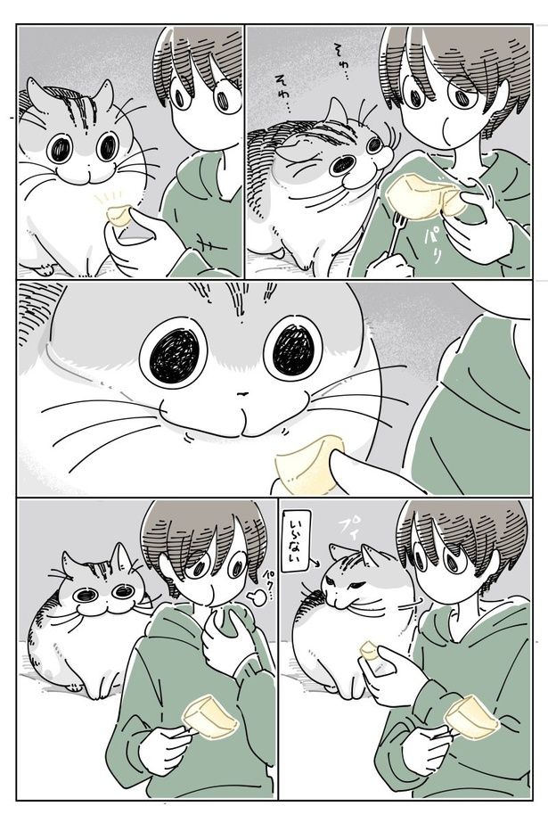 02 画像提供：キュルZ@kyuryuZ