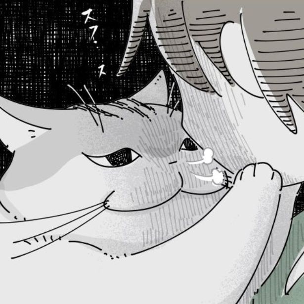 飼い主の顔を近くでガン見する猫 画像提供：キュルZ@kyuryuZ