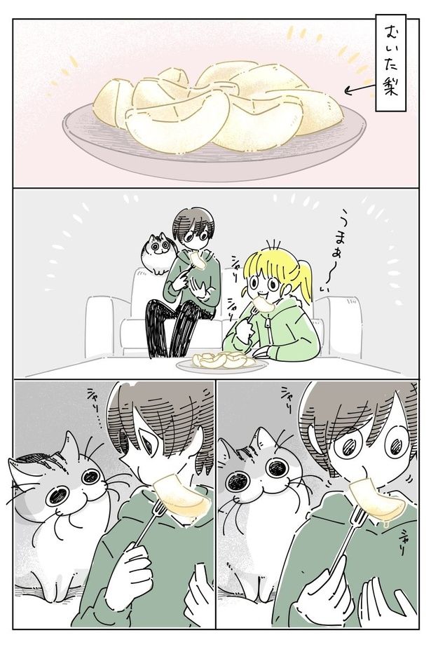 『梨が欲しい？』01 画像提供：キュルZ@kyuryuZ