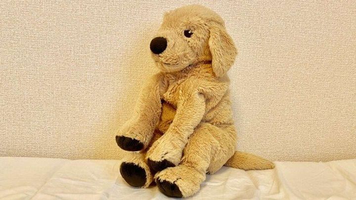 お気に入りのぬいぐるみを失くして...（画像はphotoACより、イメージ）