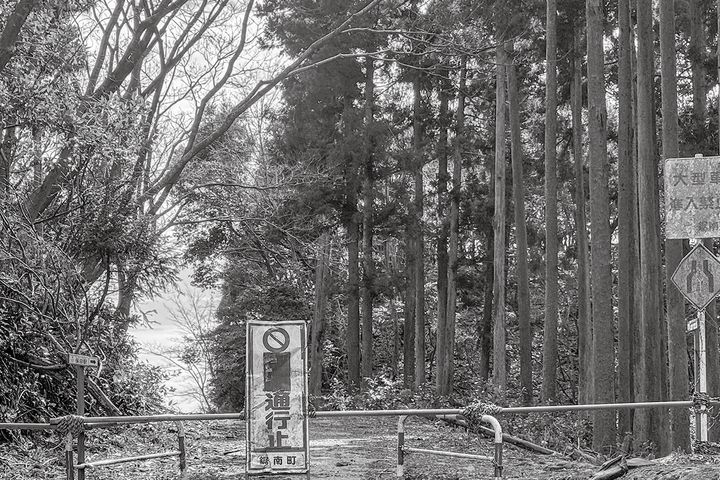 適度な起伏と少し荒れたダートを楽しめる｜一度は走りたい全国林道ツーリング③