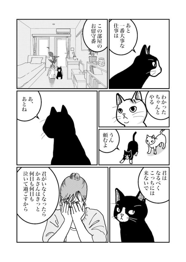 前任者からの伝達事項(3) 画像提供：白熊便利軒ホセ(@sasadebris)