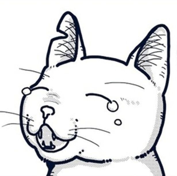 「猫の柄の話し」 画像提供：白熊便利軒ホセ(@sasadebris)